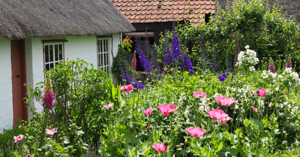 cottage garden