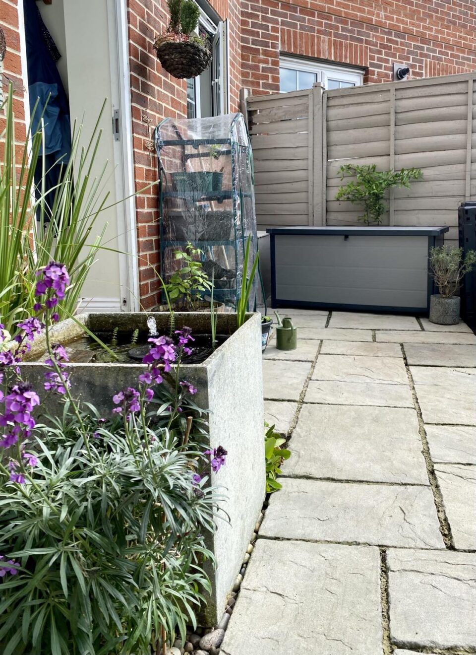 a small patio with a greenhouse