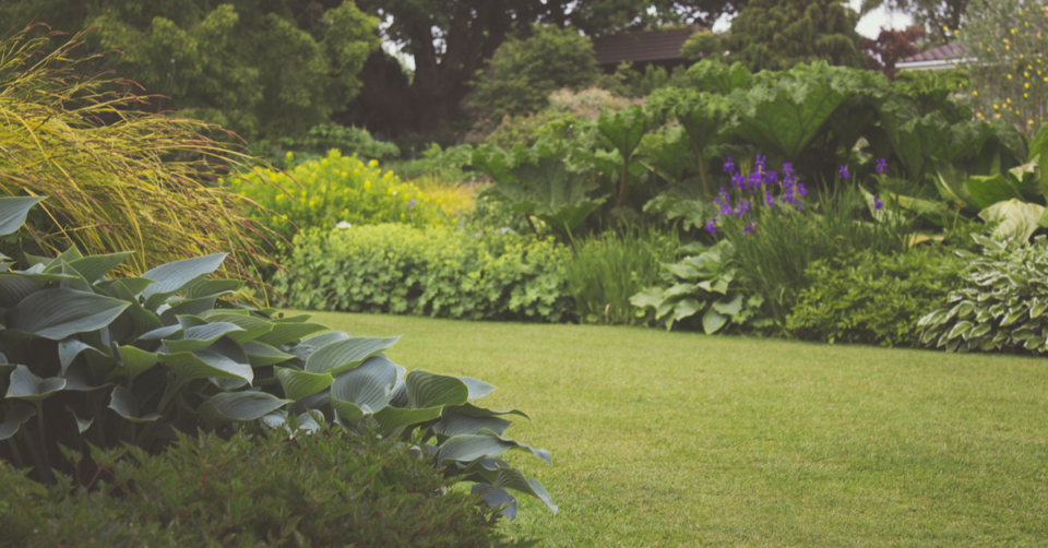 a garden lawn with beds surrounding it