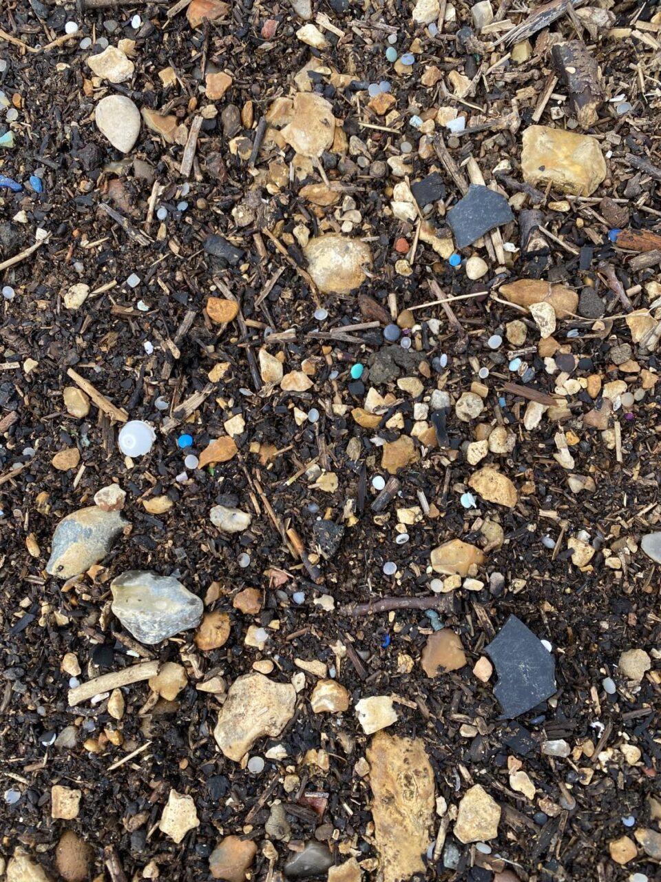 microplastics on a coastal walk