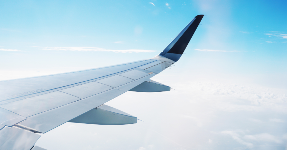 a plane wing