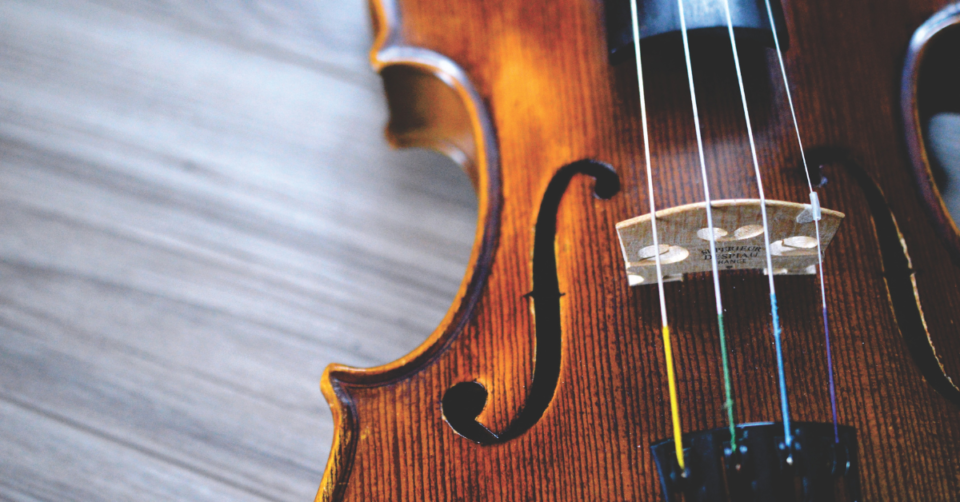 violin