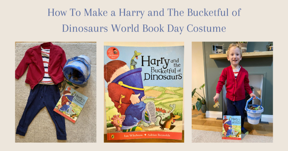 Harry and the Dinosaurs World Book Day Costume