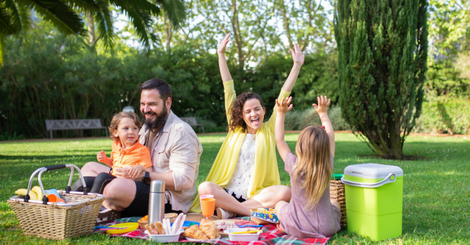 a family on a picnic