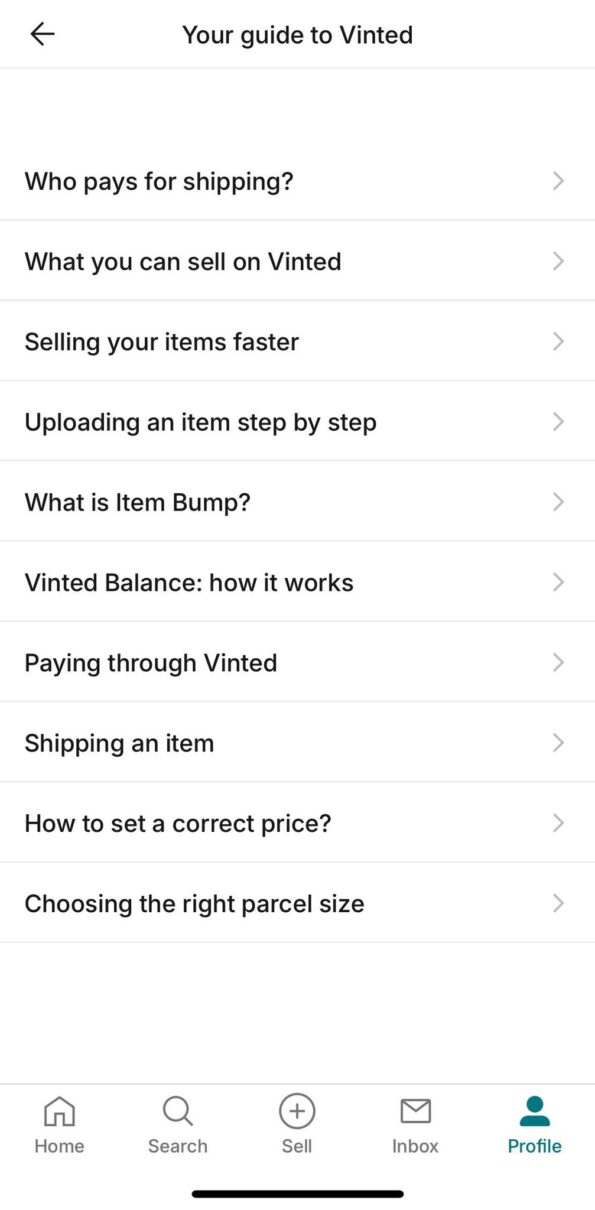 vinted guide from their app