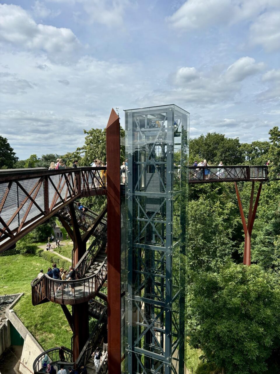 the treetop walk