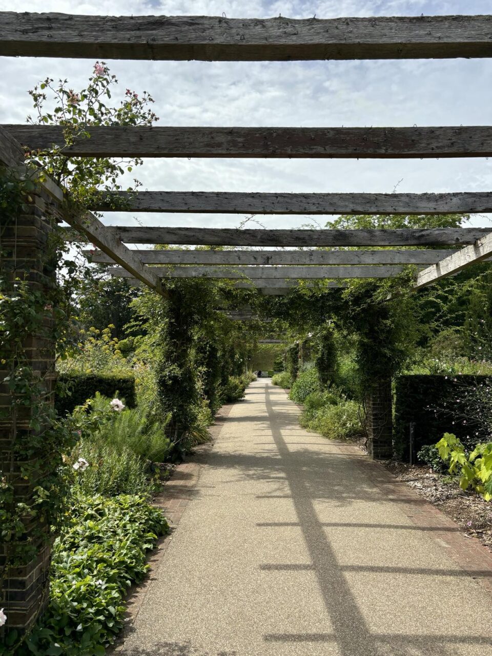 the kitchen garden