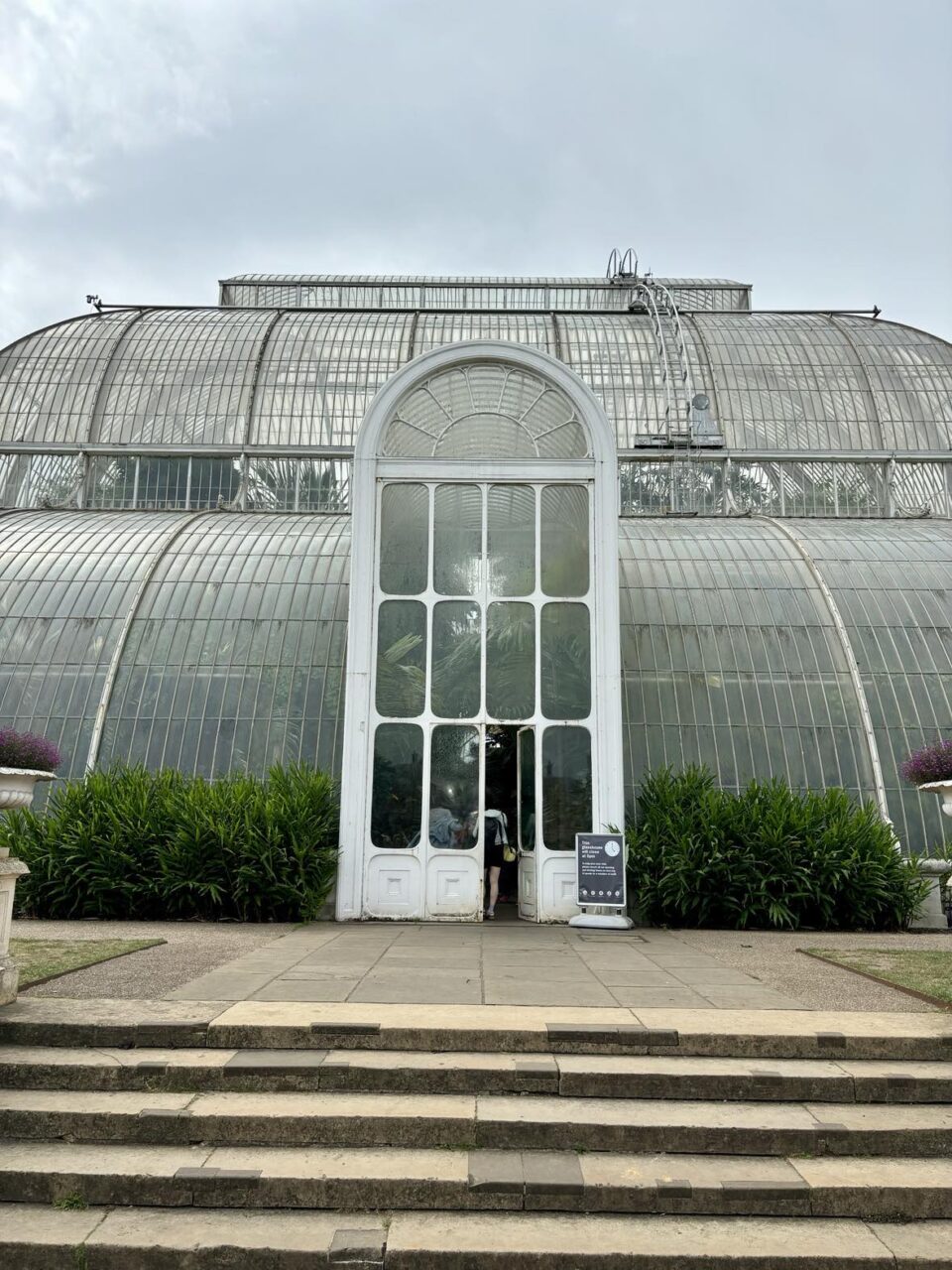 palm house outside