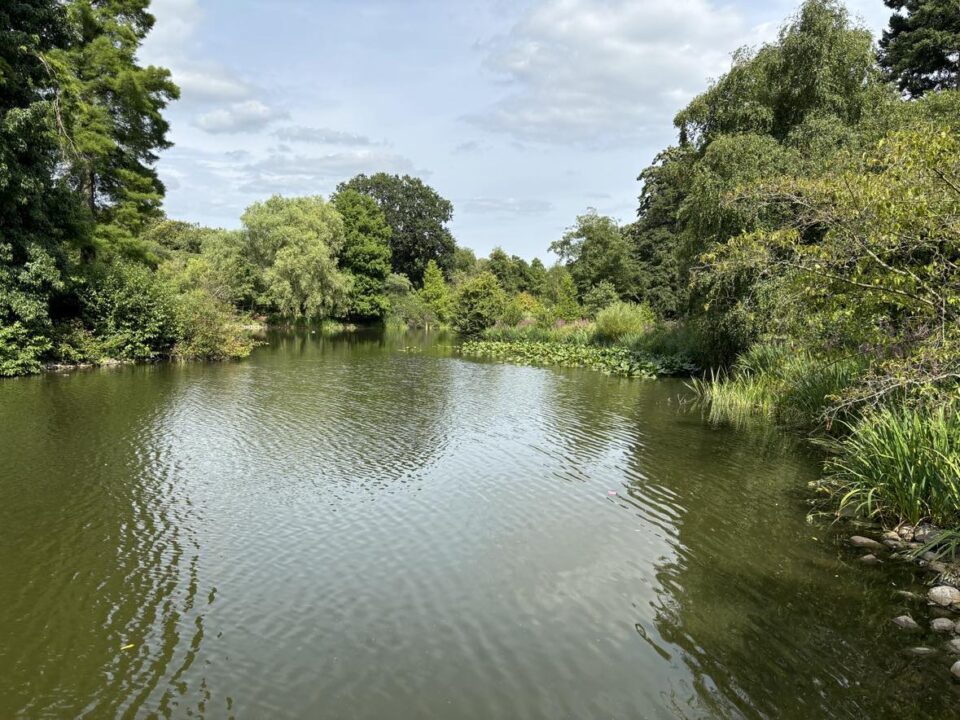 the pond at Kew Gardens