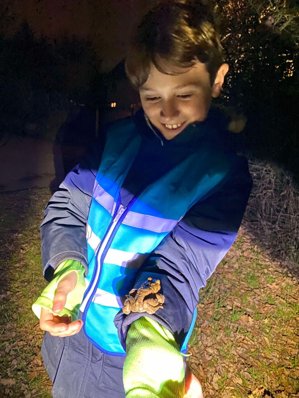 toad climbing up a child's arm