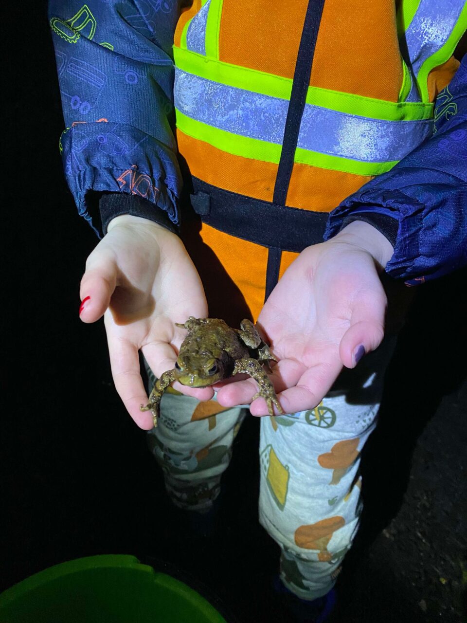 child holding a toad