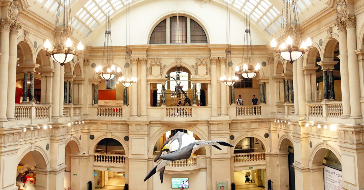 Bristol Museum