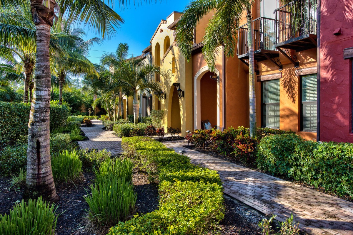 colourful house surrounded by palm trees