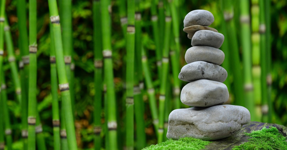 rocks and bamboo