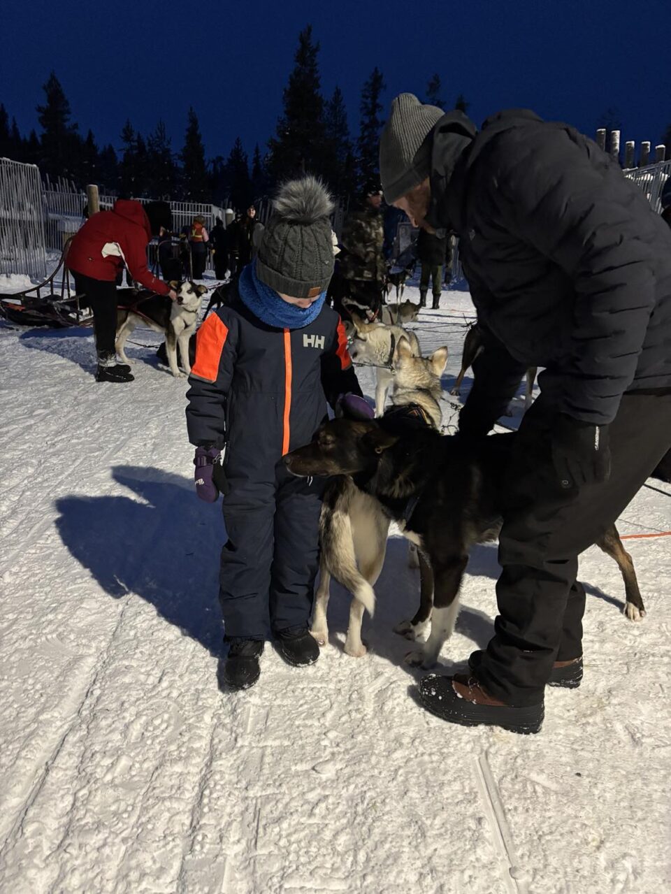 yougest son and husband stroking the huskies