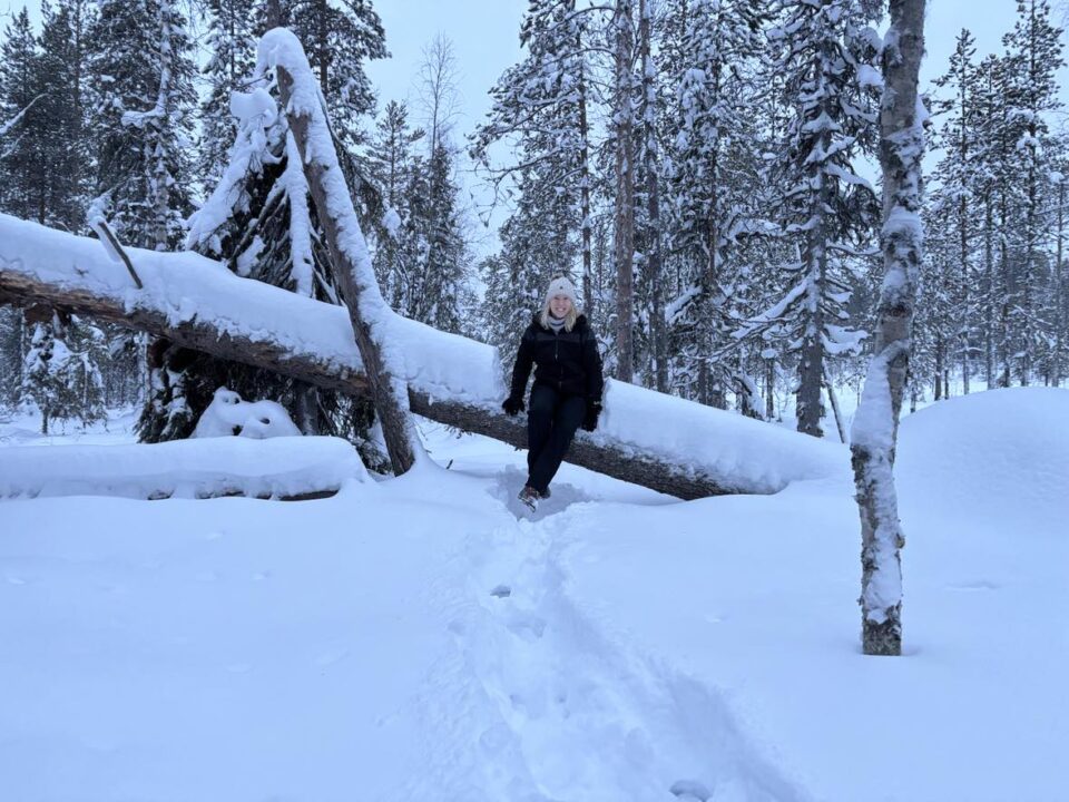 me on a snowy tree