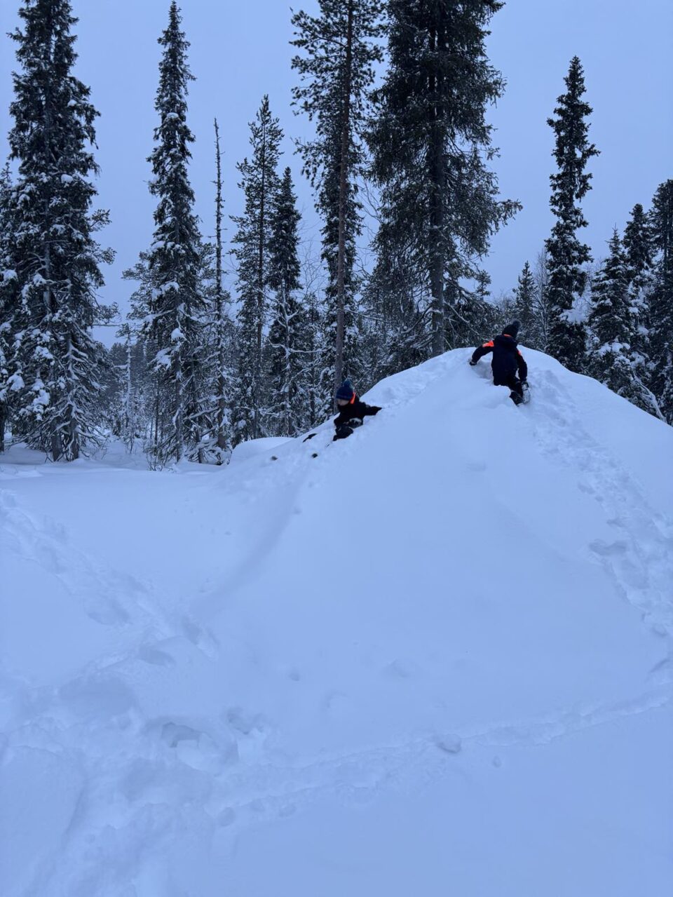 2 kids on large snow pile