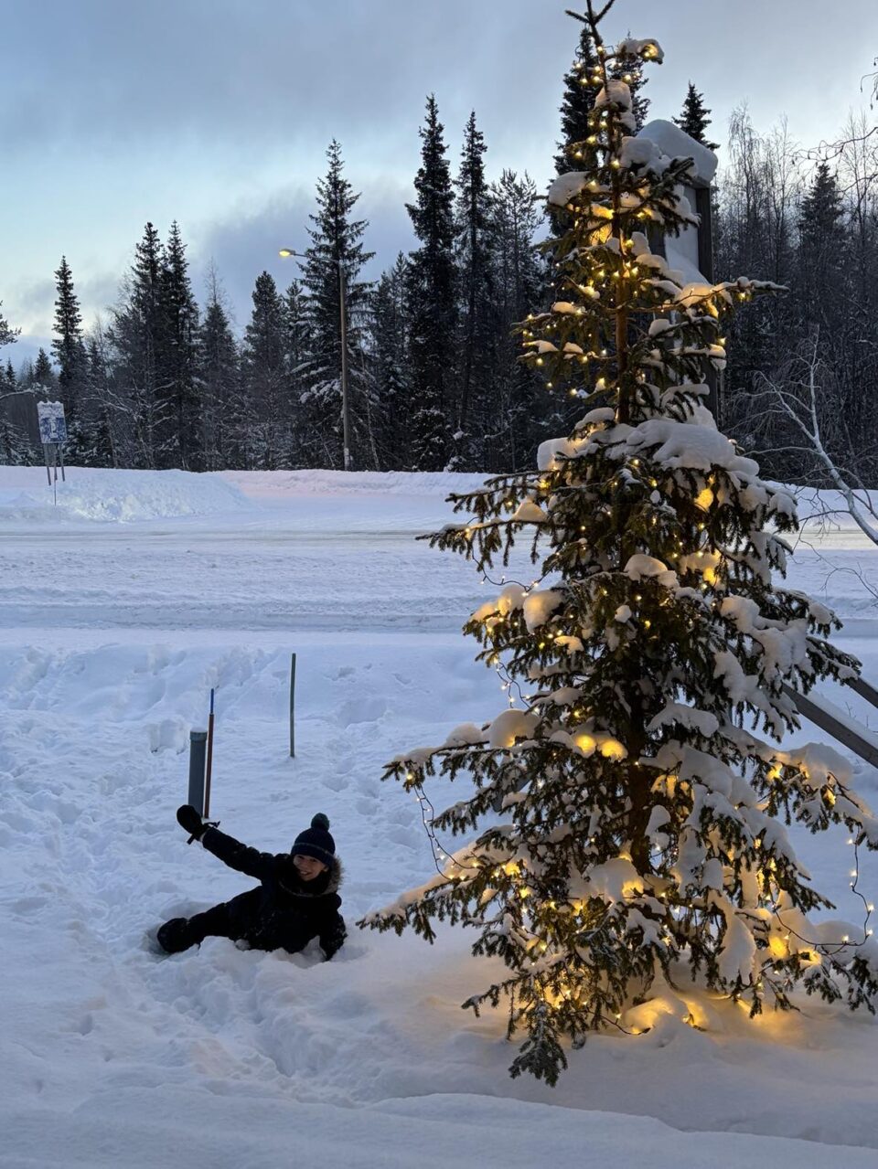 Jake laying next to the Christmas tree outside the cabin