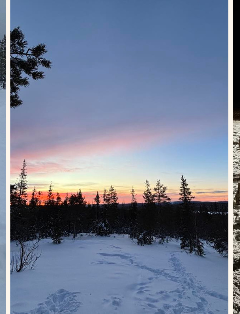 Lapland images including husky sledding, a sunset scene and reindeer