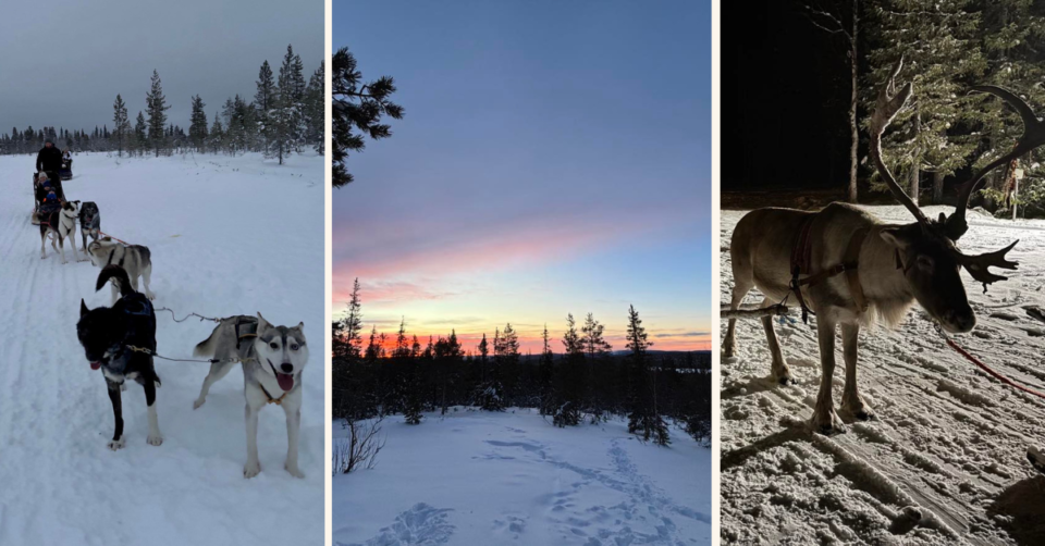 Lapland images including husky sledding, a sunset scene and reindeer