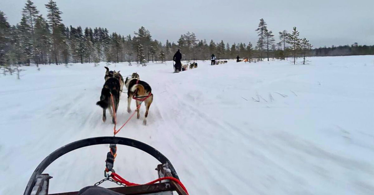 family-friednly husky safari sled tour in lapland review