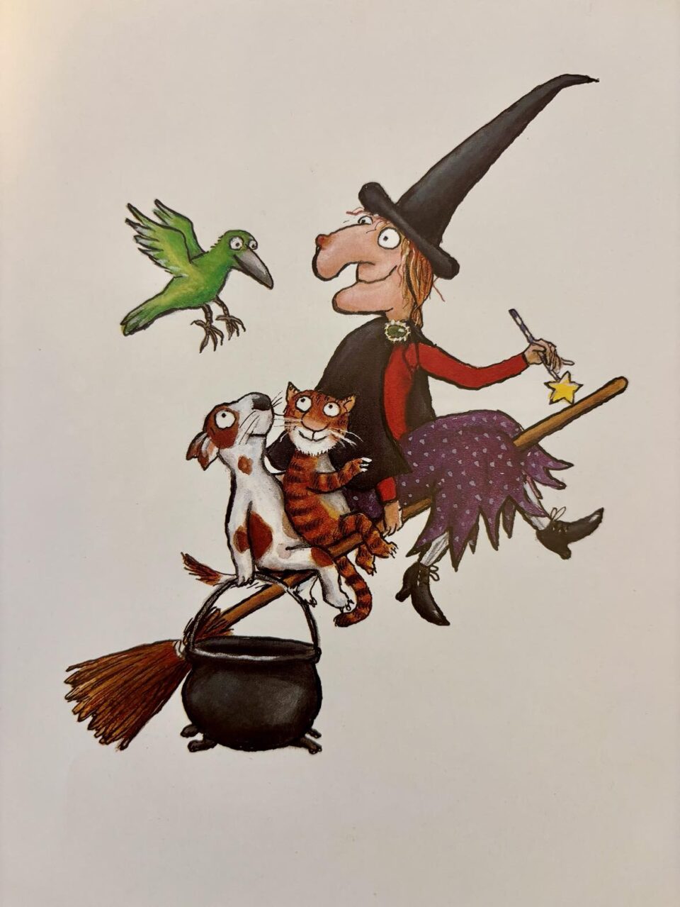 Room on the Broom book