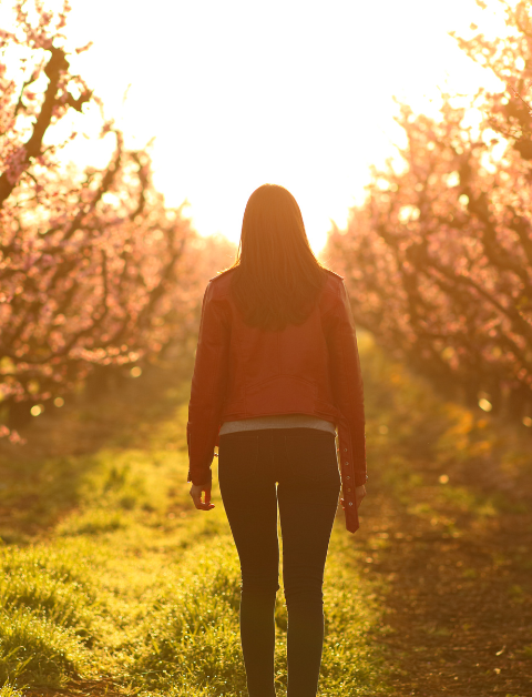 a woman standing alone between two rows of trees with a golden light