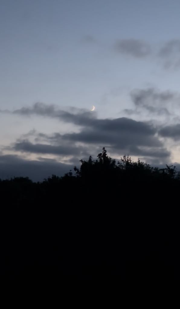 the moon