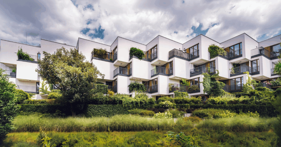 eco homes