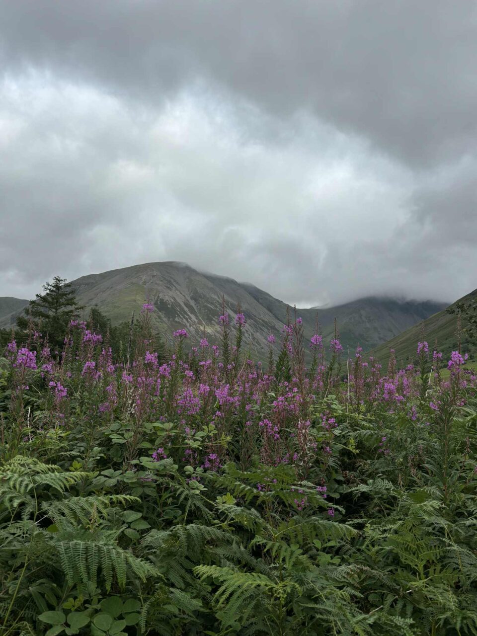 taking in the views from Scafell Pike