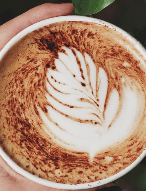 coffee in a cup with a lead design on the top