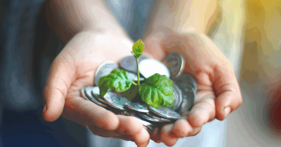 somone holding coins and a plant