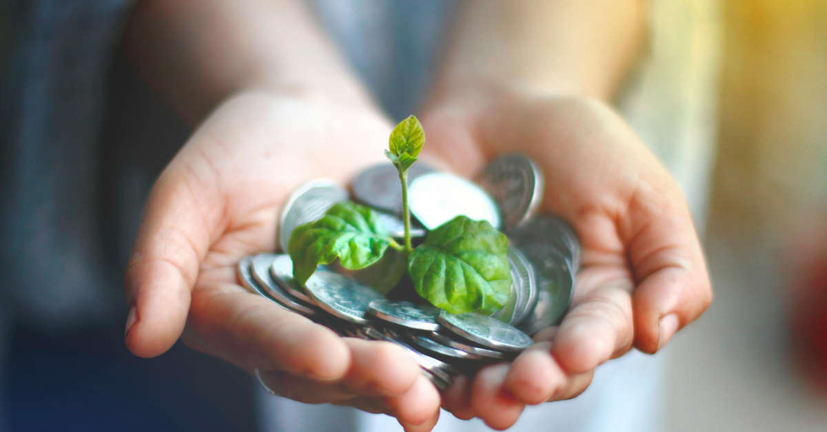 somone holding coins and a plant