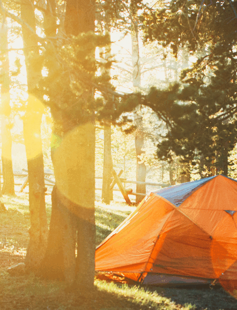tent in golden hour