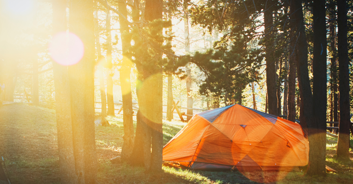 tent in golden hour