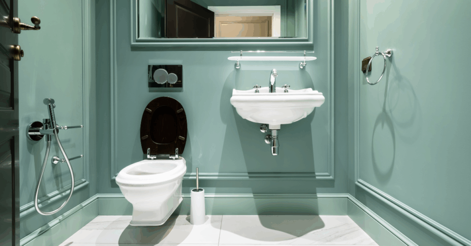 a lovely lookig toilet and basin in a green room