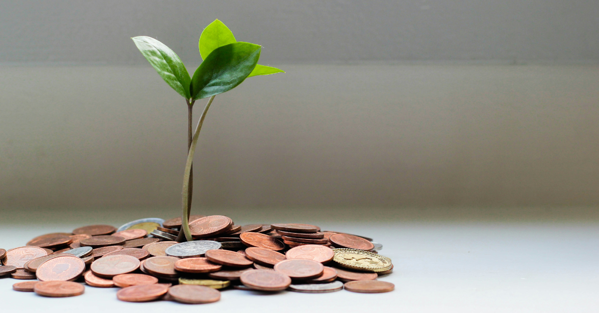 sapling growing out of some pennies