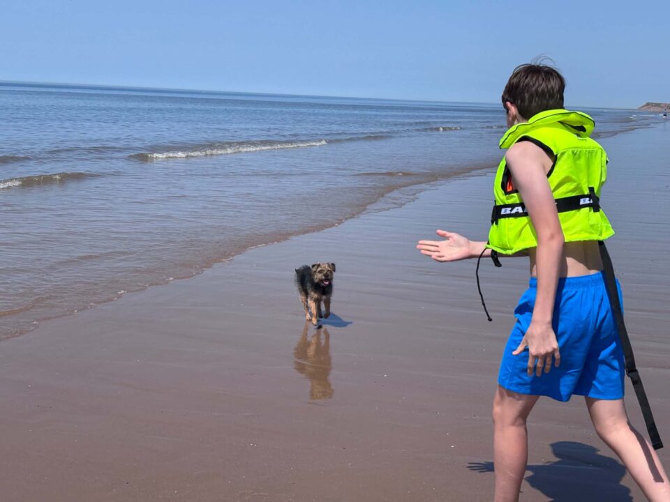 the dog enjoying the beach off the lead