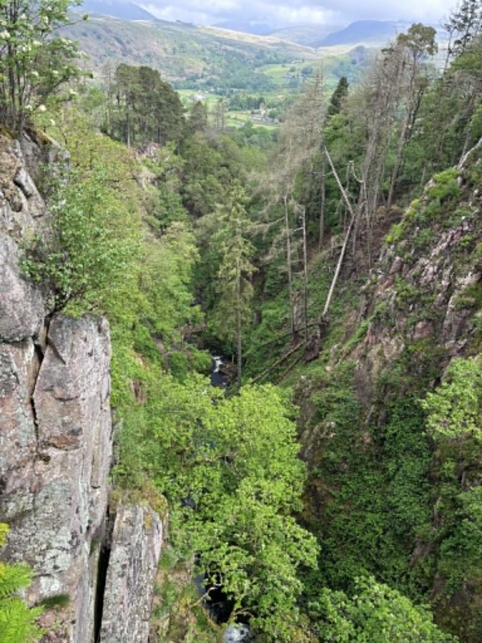 the view down the valley