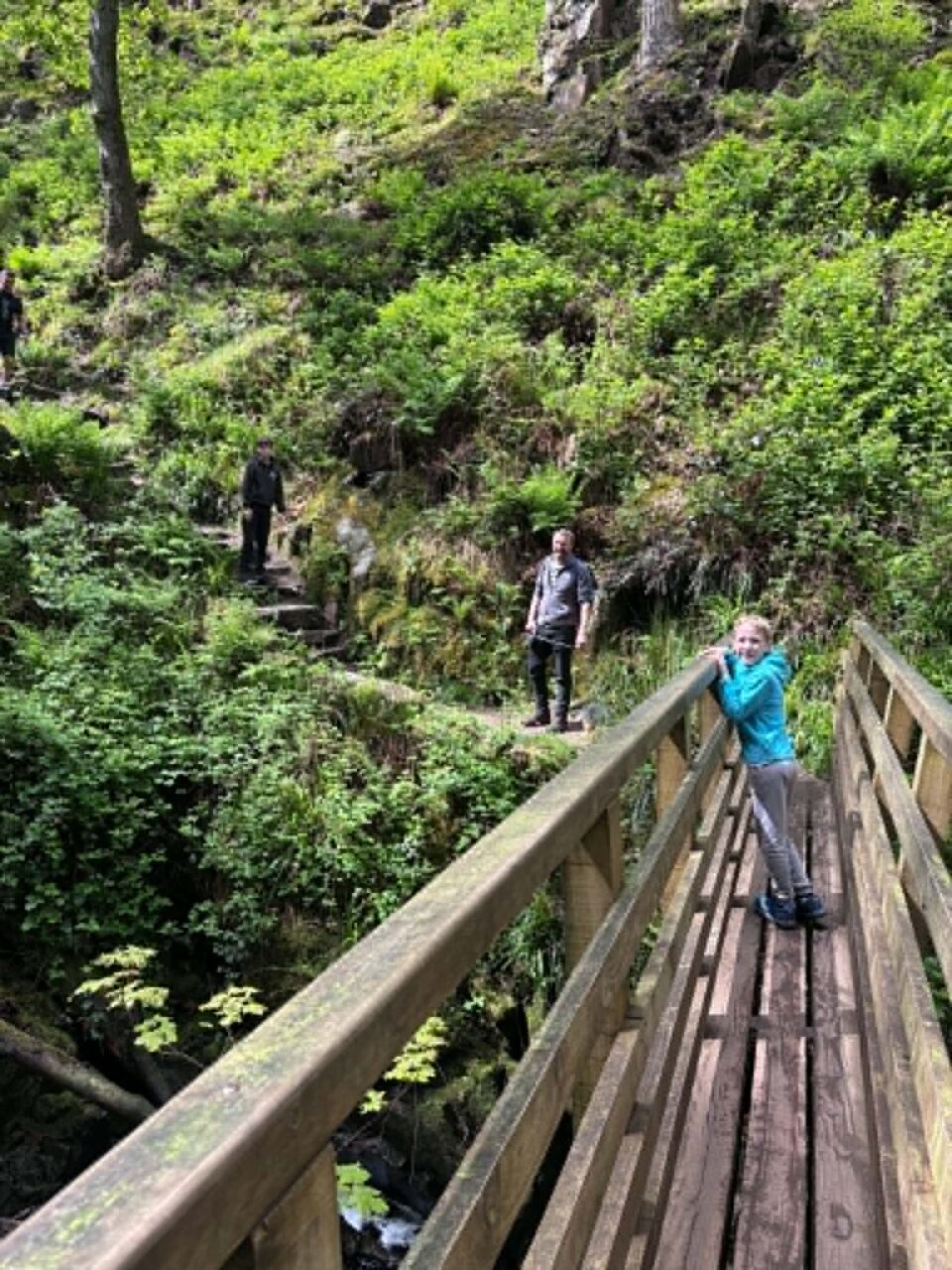 the boys and husband on a brudge going up to Stanley Ghyll Force