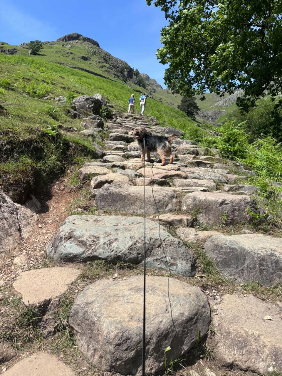 the stickle tarn trail