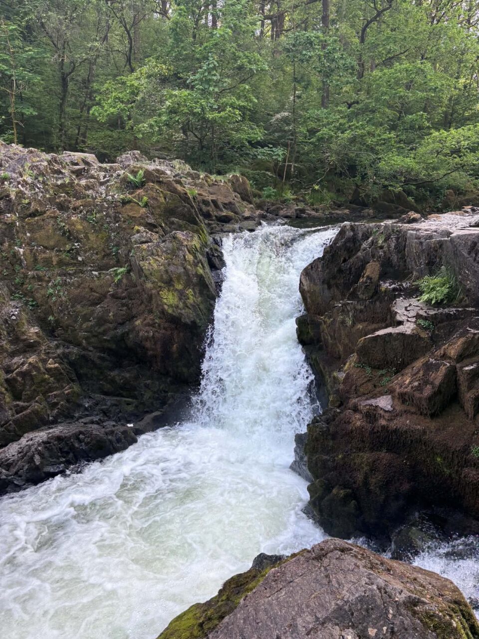 waterfall at Elter Water Skelwith Force