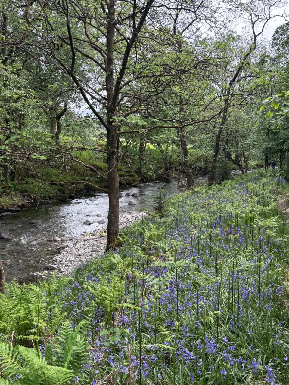 River Duddon
