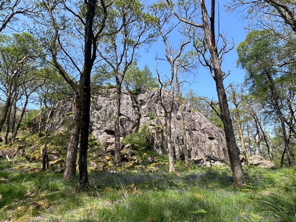 large rock formation in forest
