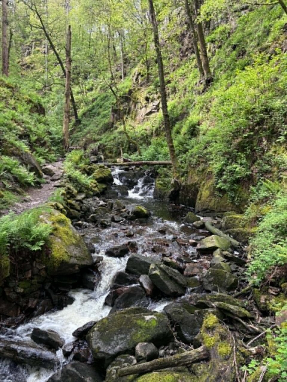 the water running down over rocks on the way up to Stanley ghyll force
