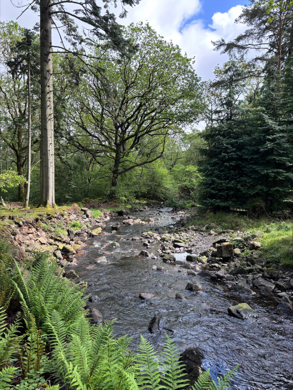 the river at the base of Stanley Ghyll Force