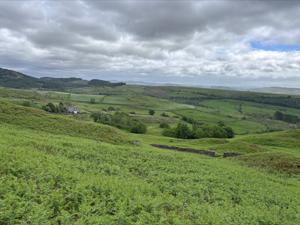 the view part way up the hill