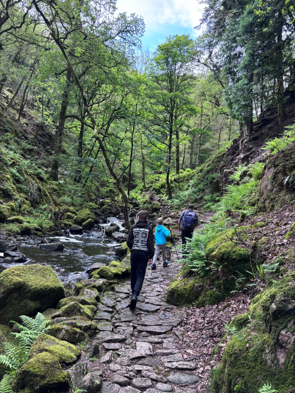 the start of the trail up to Stanley Ghyll Force