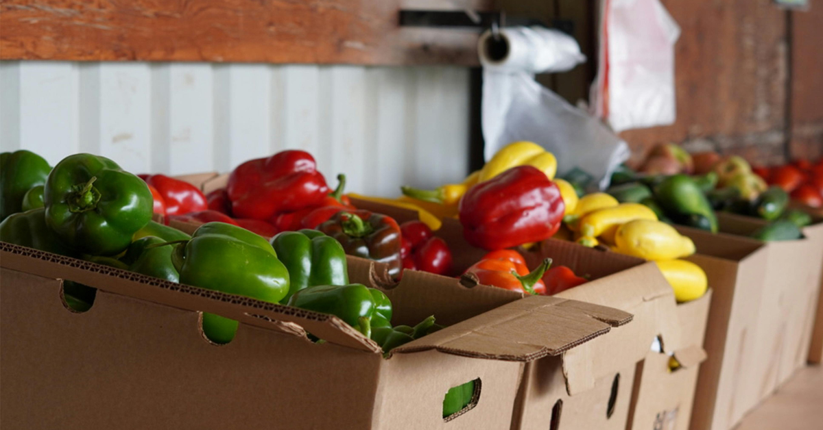 fruit in boxes