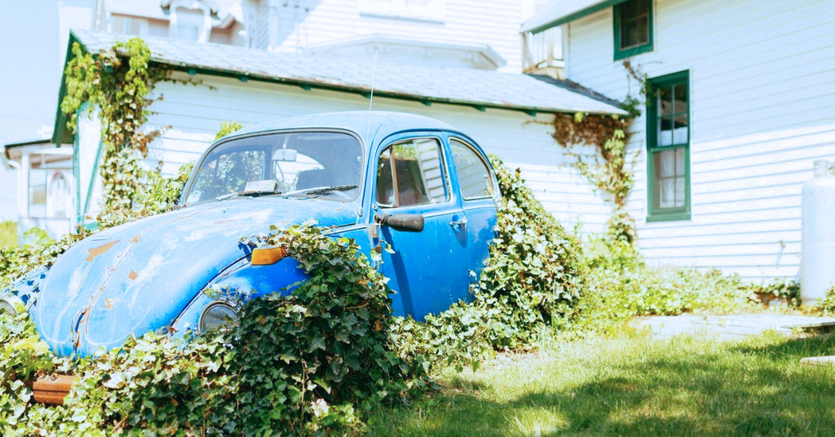 old Beetle car covered in greenery